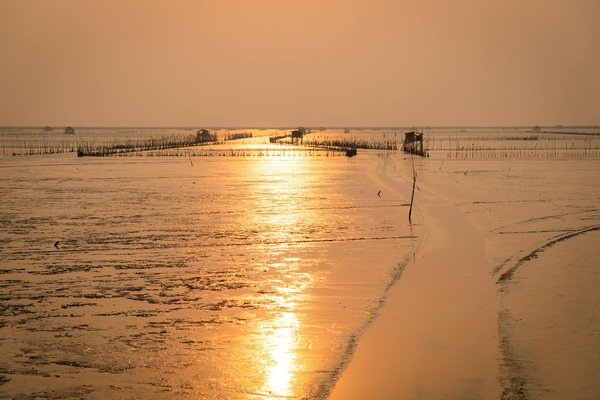 Trockenblumen Blossom